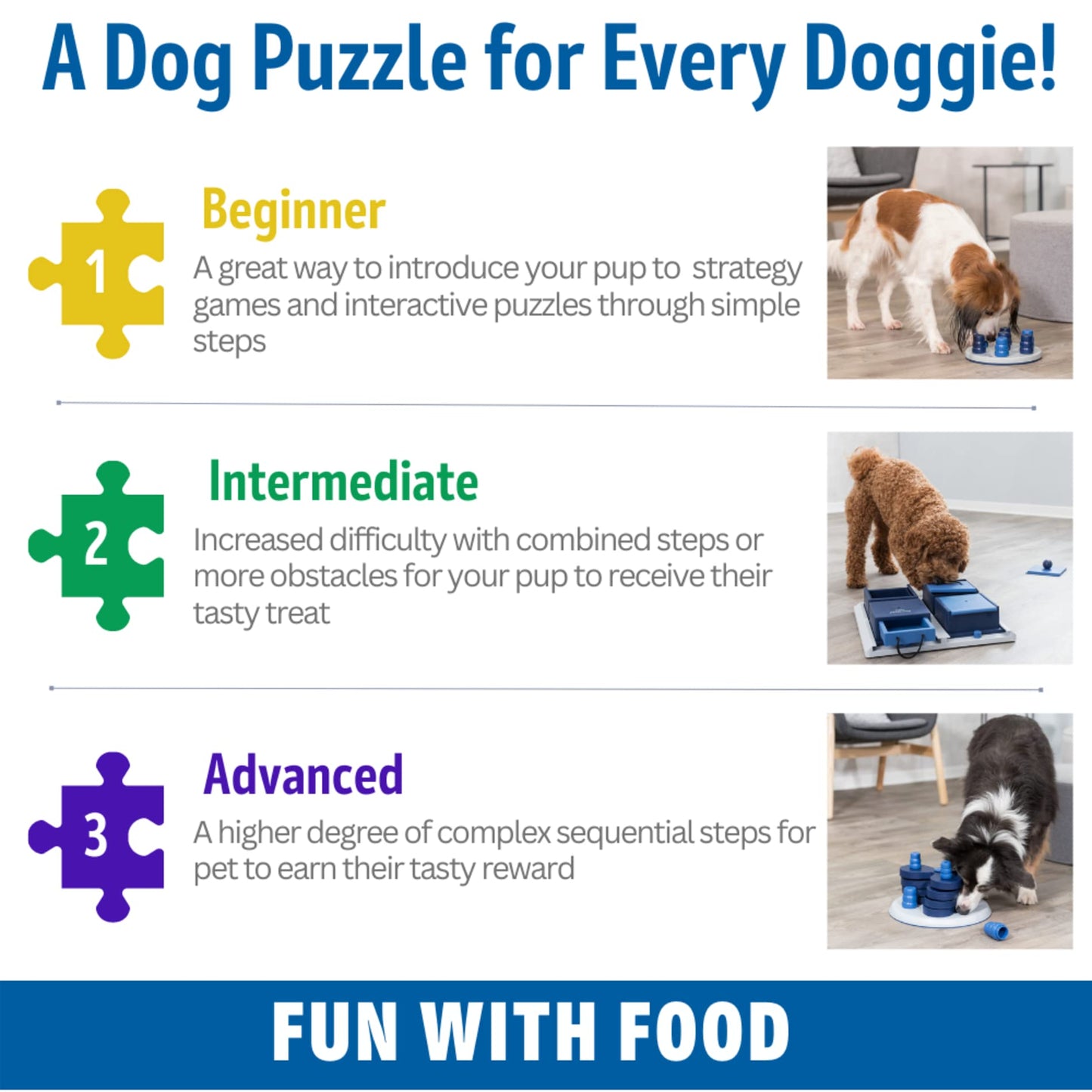 TRIXIE Poker Box 1 Dog Enrichment Toy, Intermediate Level 2 Dog Puzzle, Interactive Treat Game