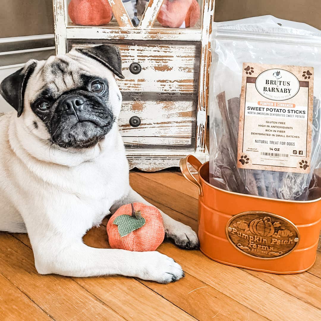 USA Sweet Potato Dog Treats - Grain Free, Cinnamon Pumpkin Crunchy Sticks are Great Tasting, Promote Positive Dog Gut Health with Natural Anti-Diarrhea Properties, no Preservatives Added