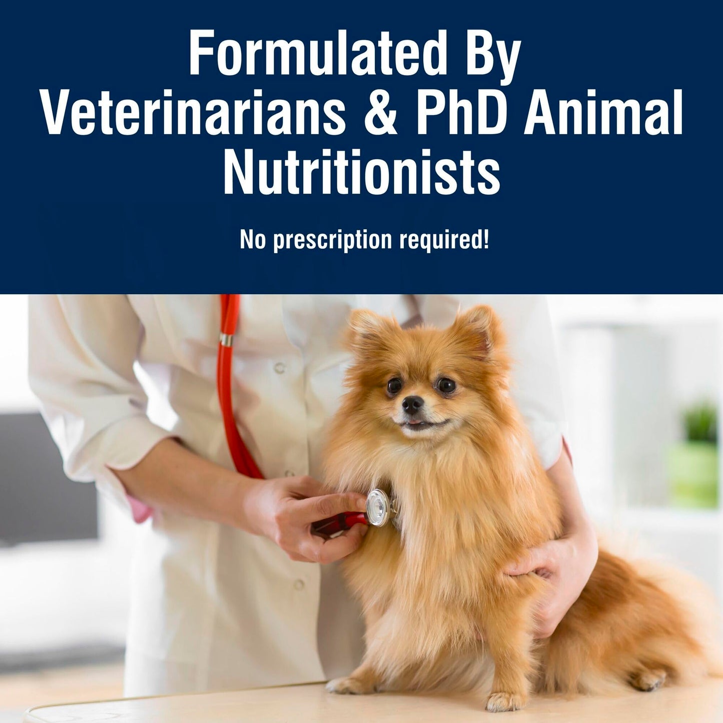 Blue Buffalo True Solutions Small Breed Care Natural Dry Dog Food for Adult Small Breed Dogs, Chicken, 4-lb. Bag