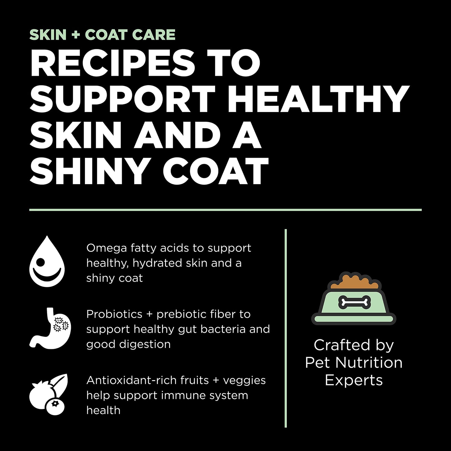 Go! Solutions Skin + Coat Care, Dry Dog Food, Turkey Recipe with Grains, 22 lb Bag