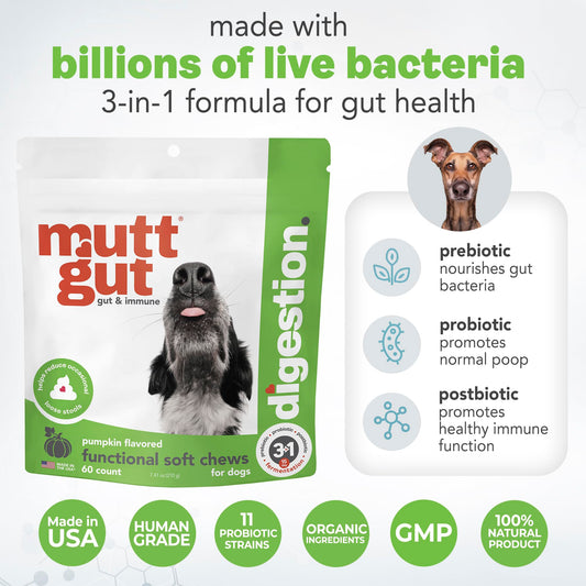 MuttGut® 3-in-1 Puppy & Dog Probiotics + Prebiotics + Postbiotics Chews - Promotes Digestive Health, Supports Immune System and Overall Health - Dog Diarrhea Relief & Immune Support - 60 Soft Chews