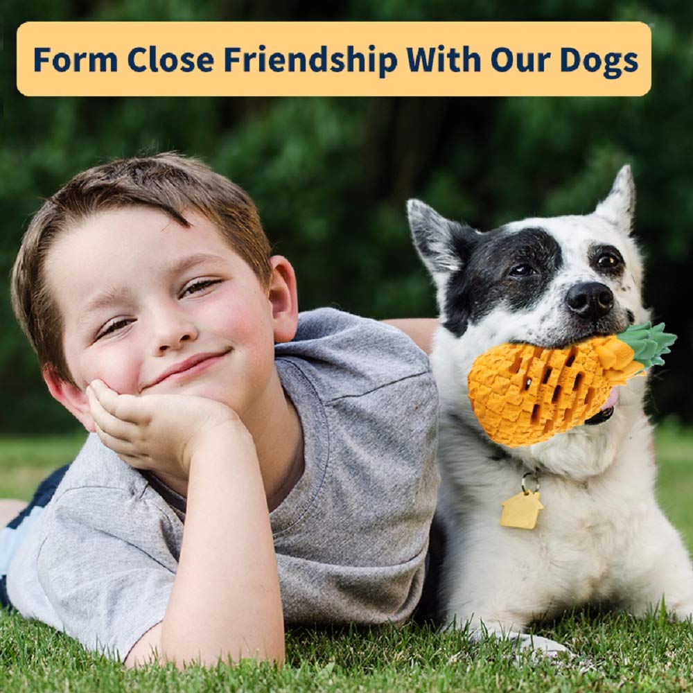 LPHSNR Teething Chew Toys for Puppy Small Dogs, Interactive Dog Toys to Keep Them Busy Puppies Tough Dog Dental Clean Toys