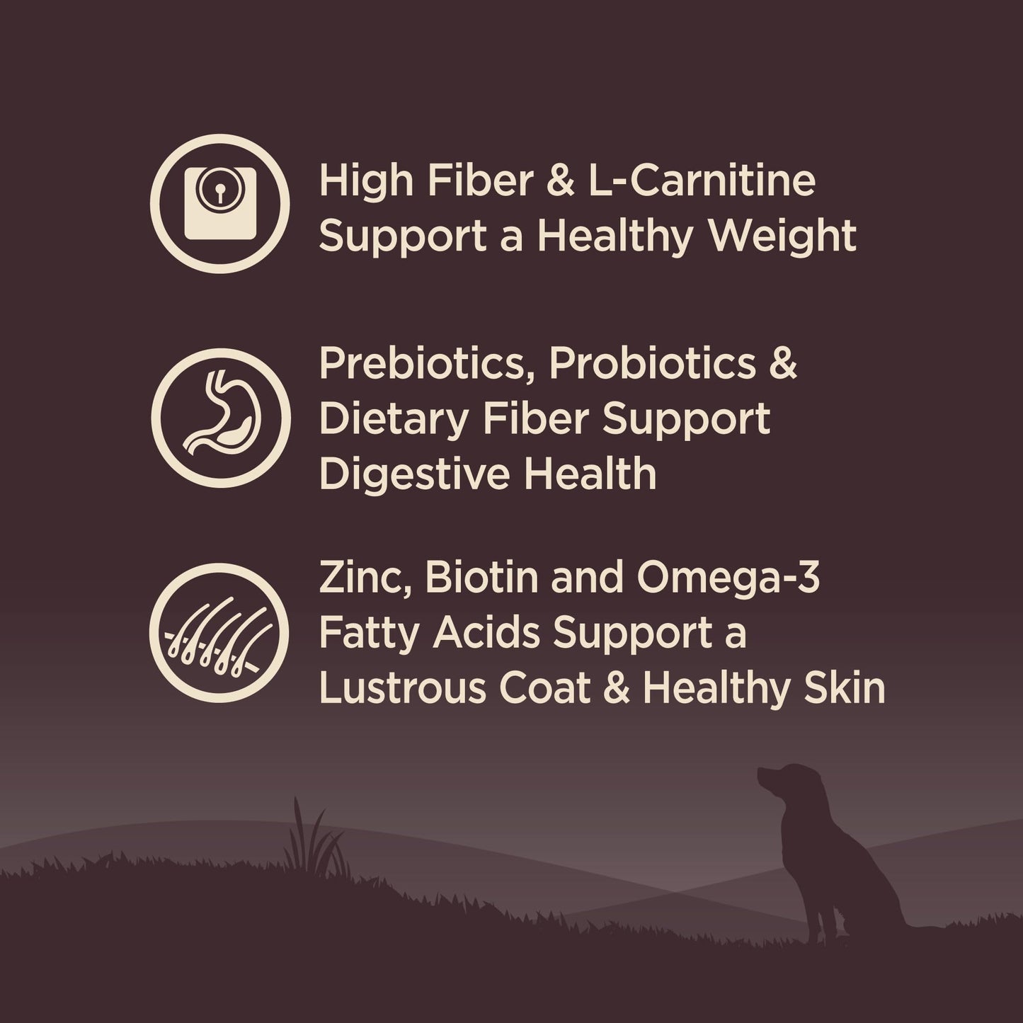 Wellness CORE Dry Dog Food, Grain-Free, High Protein, Natural, Healthy Weight Turkey & Chicken Recipe, (12-Pound Bag)