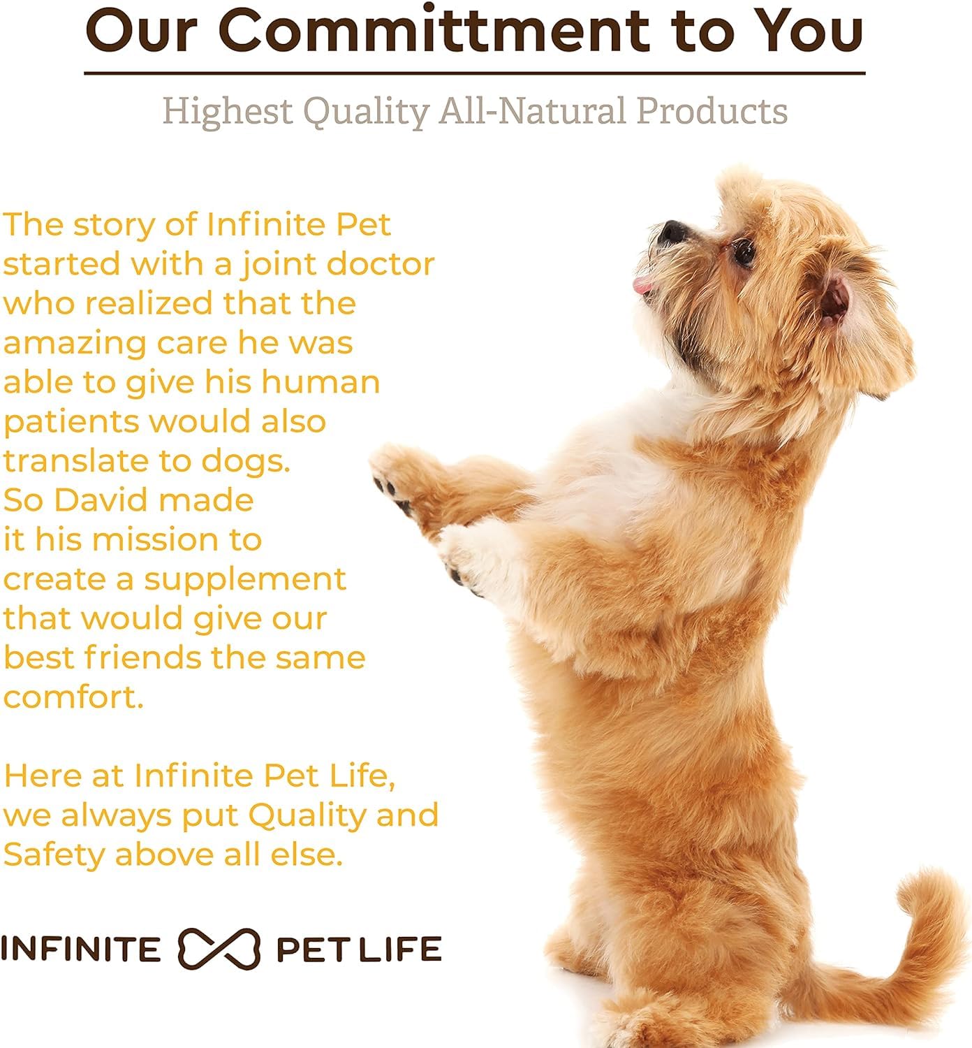 Infinite Pet Life Ultimate Hip & Joint Chews for Dogs – Peanut Butter Flavor – Glucosamine, Chondroitin, MSM & Turmeric – Advanced Joint Support for Dogs 90 Soft Chews