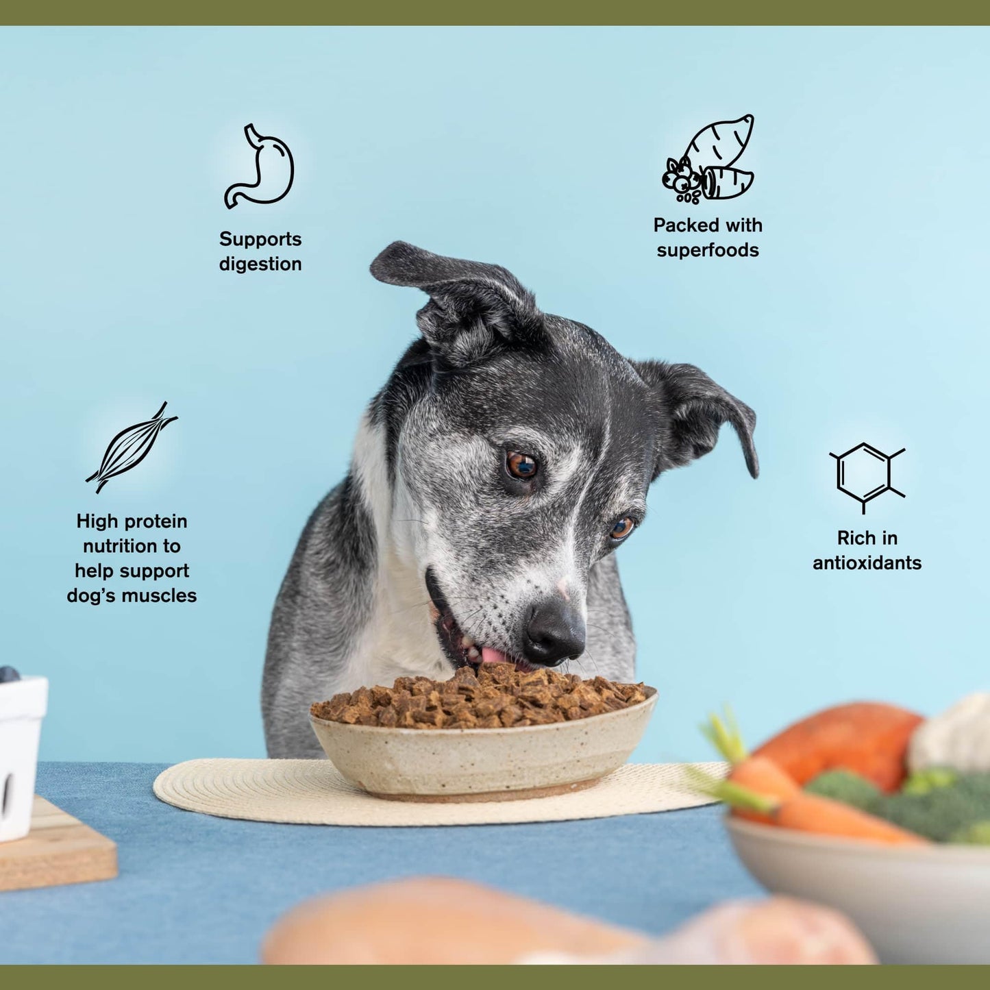 ZEAL Canada Air-Dried Salmon & Duck Recipe for Dogs - Superfood Omega-3 Rich, Dual-Protein, Grain Free, No Fillers, Complete Nutrition (Salmon & Duck, 1 lb)
