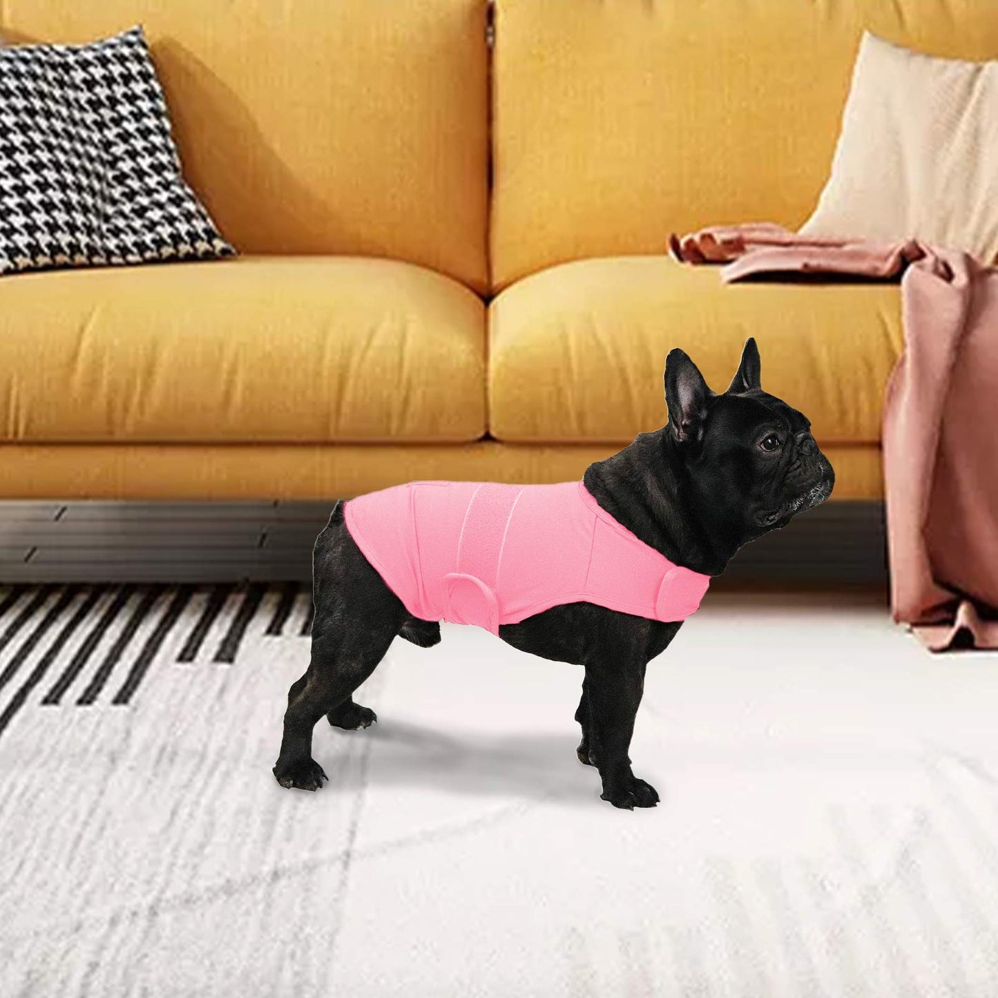 balancepaw Thunder Jacket for Dogs Anxiety Relief, Dog Anxiety Vest Calming Care for Separation, Thunderstorm, Travel, Fireworks, Vet Visits (Pink M)