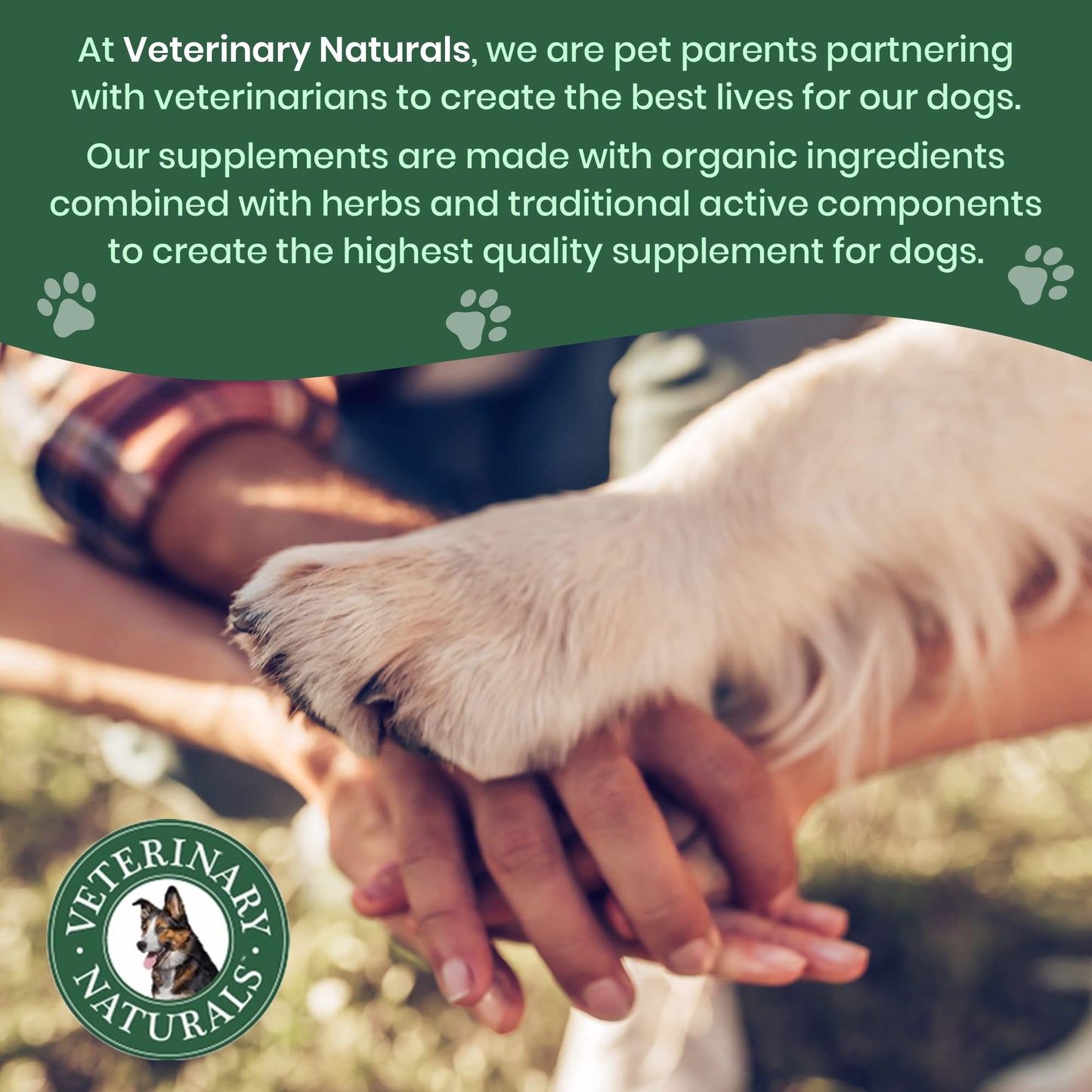 Vet Naturals Hemp & HIPS - Dog Joint Supplement Large Breed - Senior Dog Supplements - Glucosamine and Chondroitin Supplement for Large Dog - MSM & USA Grown Hemp Oil (60ct-Rotisserie Chicken)
