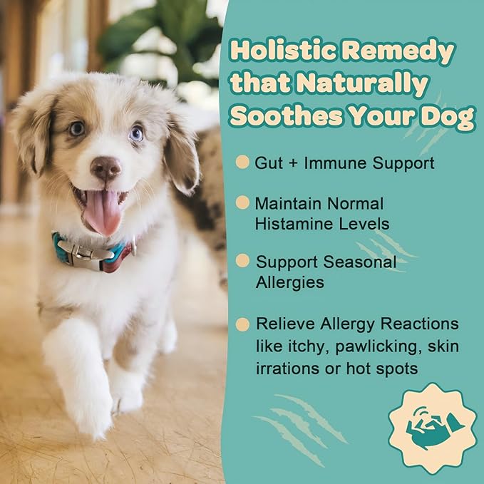 ZEBORA Dog Allergy Relief - Dog Itching Skin Relief, Advanced Skin Probiotics for Dogs, Colostrum, Support Itchy Ears, Seasonal Allergies, Immune, Digestive Health, Alternative for Dog Allergy Chews