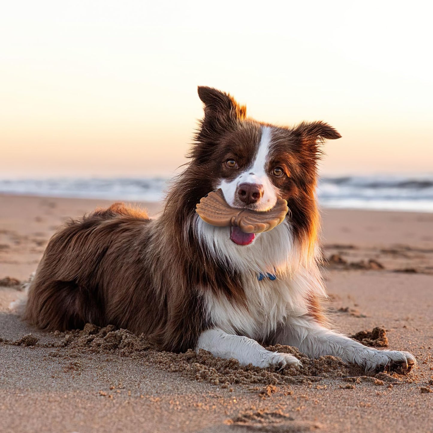 Dog Toys for Aggressive Chewers, Indestructible Toys for Large Dogs, Dog Chew for Large Medium Small Breed, 3 Pack Super Chewer with Tough Nylon, Gift for Dogs