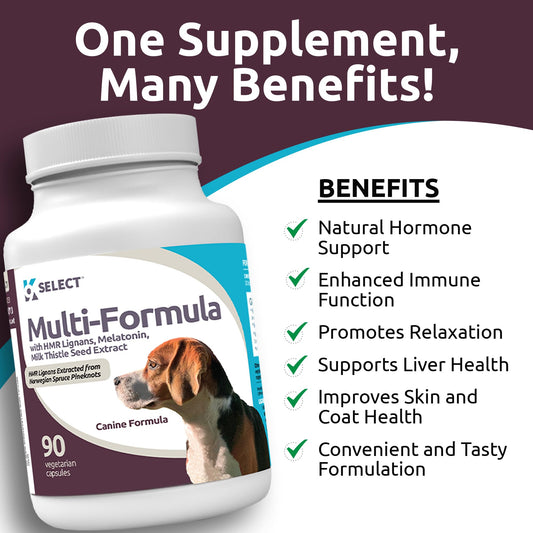 K9 Select Multi-Formula Dog Vitamins for Medium Dogs - 20mg HMR Lignans, 2mg Melatonin, 40mg Milk Thistle - Helps Heart, Liver, Digestion & Coat Health, Dog Multivitamin, 90 Capsules
