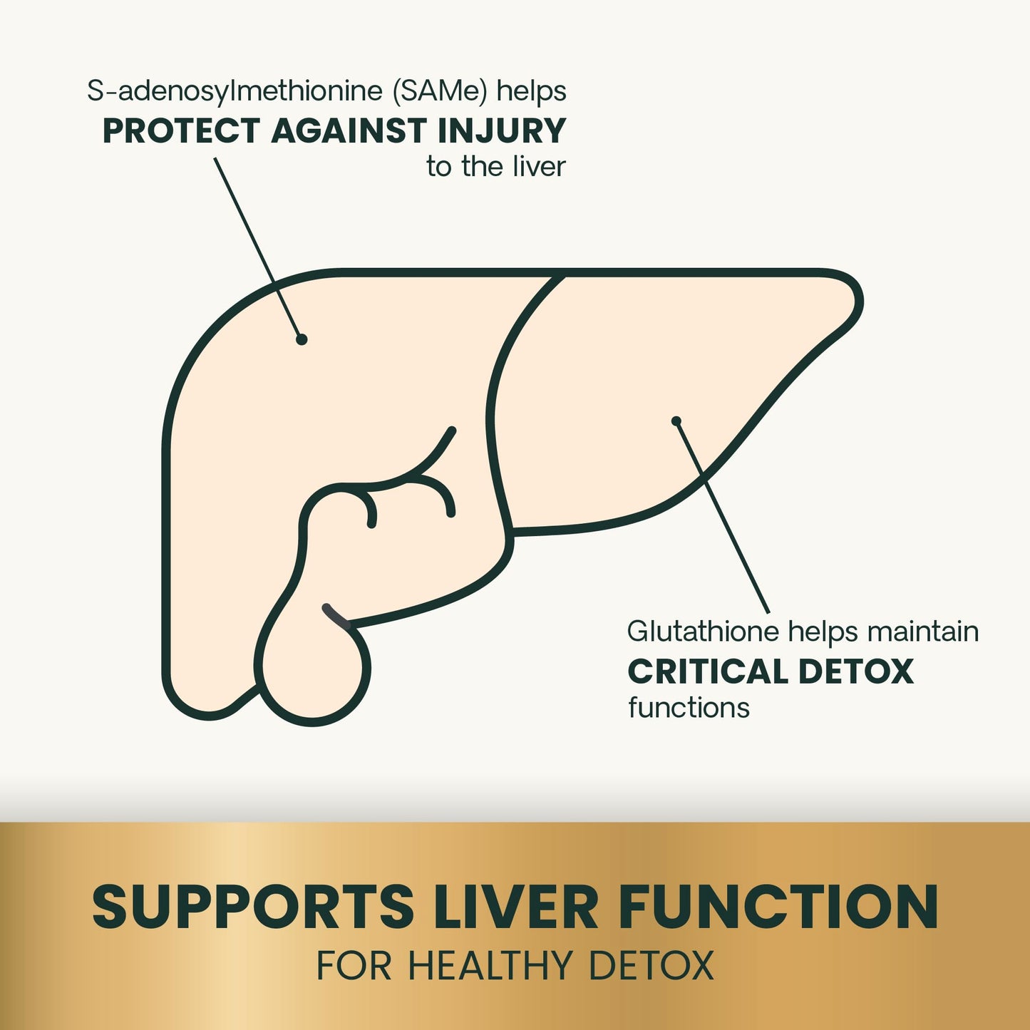 VetriScience SAMe Liver Health Tablets, 225 mg S-Adenosyl-Methionine Liver Health and Detox Supplement for Medium and Large Breed Dogs, Glutathione Antioxidant Liver Support, 30 Count