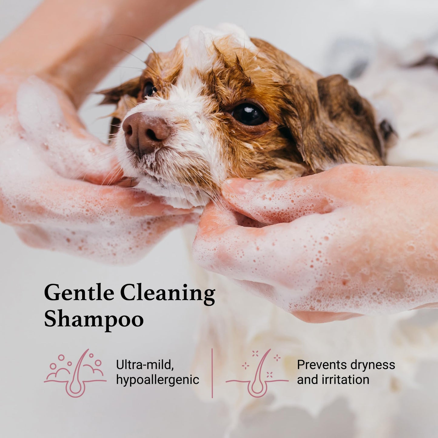 iGroom Tearless Facial Dog Shampoo, Luxury Pet Beauty Care, Ultra Mild to Eyes, Restore Skins Natural Moisture, Made in USA, Gallon