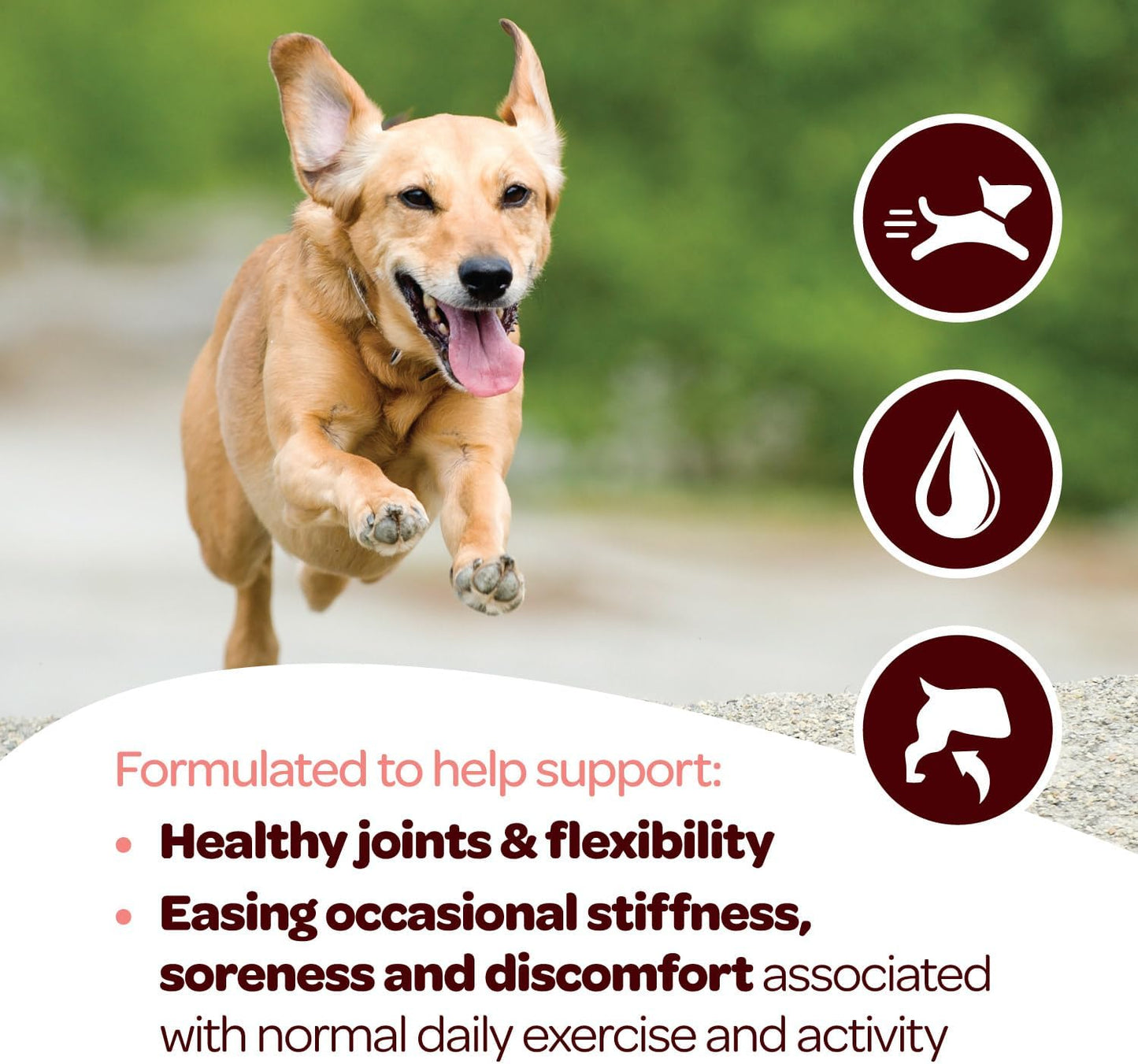 Hip and Joint Chews for Dogs | Dog Glucosamine Chews for Comfort & Mobility with Chondroitin MSM & Turmeric | Dog Joint Supplement for All Ages & Sizes | NASC Certified & Made in The USA | 60 Chews
