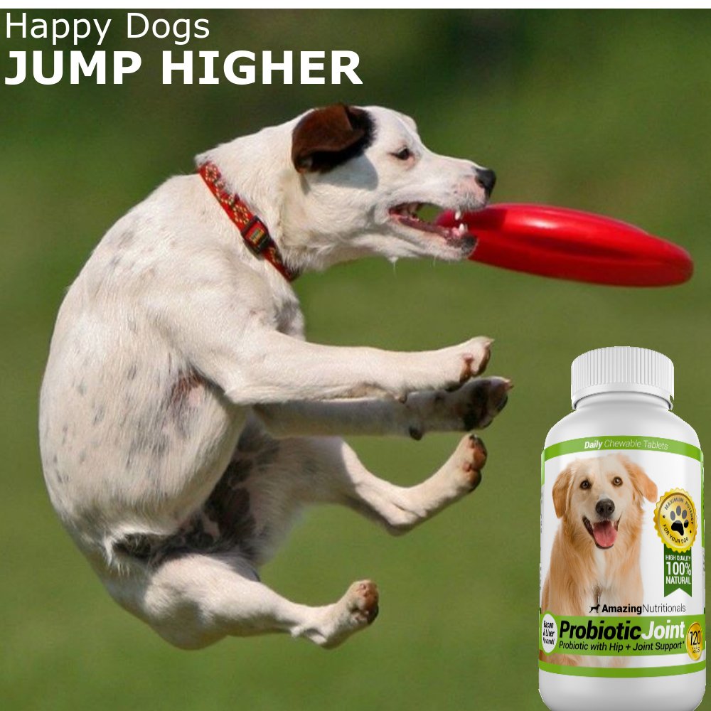 Joint Support Turmeric Probiotics for Dogs Digestive Health Bundle - Eliminates Joint Pain Inflammation, Incontinence, Gas and Diarrhea