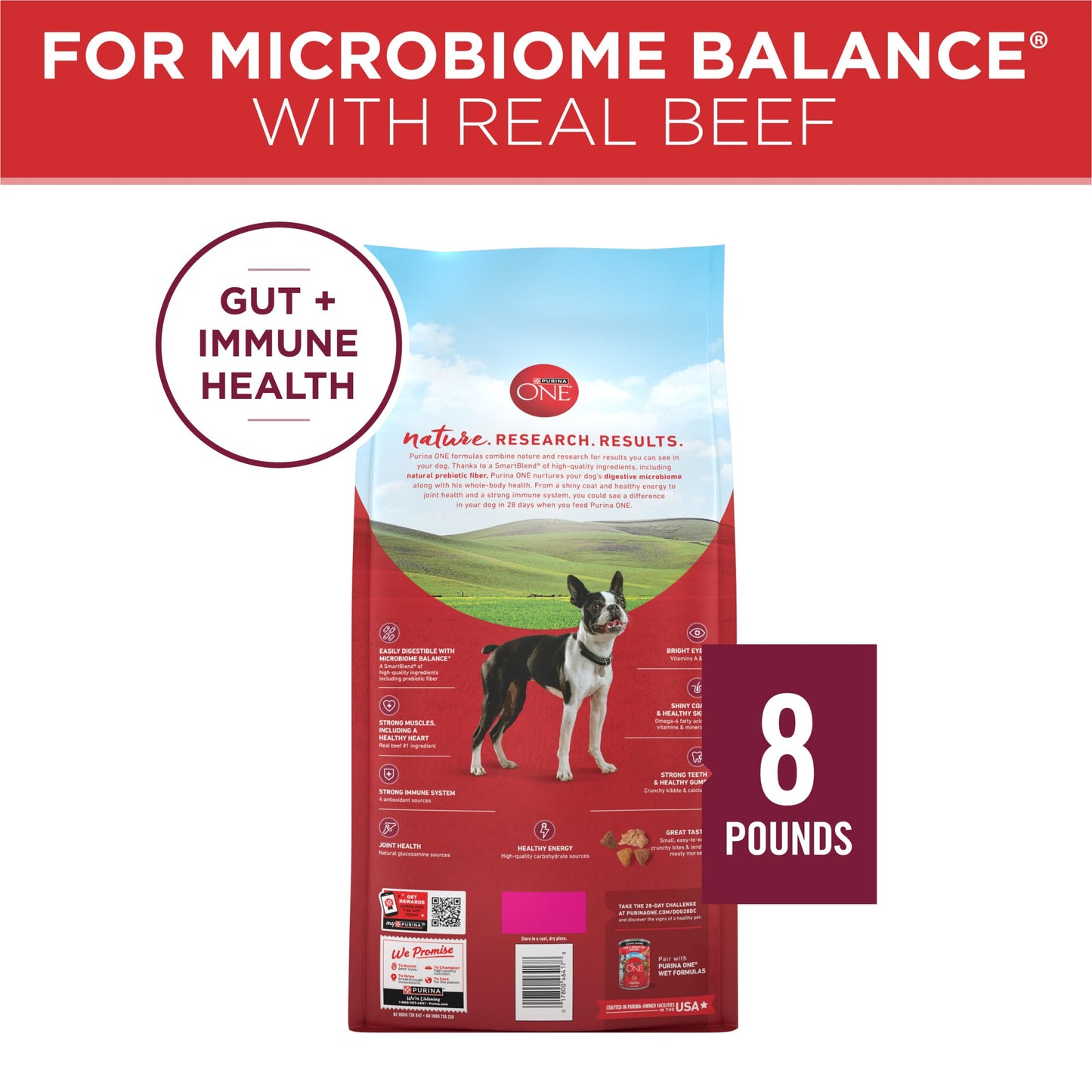 Purina ONE Small Bites Beef and Rice Formula Small High Protein Dry Dog Food Natural With Added Vitamins, Minerals and Nutrients - 8 lb. Bag