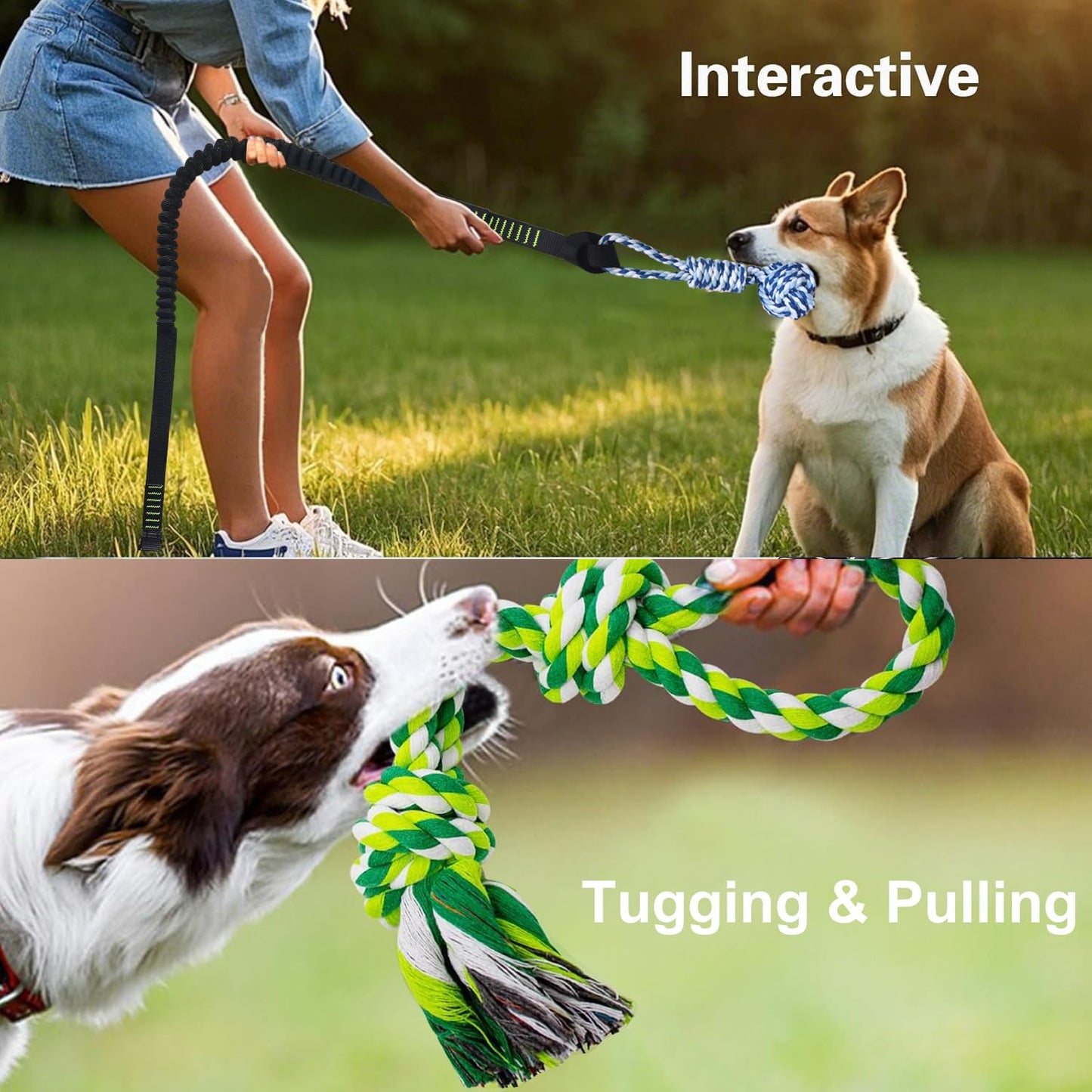 TUAHOO Outdoor Hanging Dog Bungee Tug Solo Toy, Tree Tugger Pull Rope & Tether Tug a War for Pitbull Medium Large Aggressive Chewers, Interactive Exercise Play Cord, 2 Dog Rope Toys