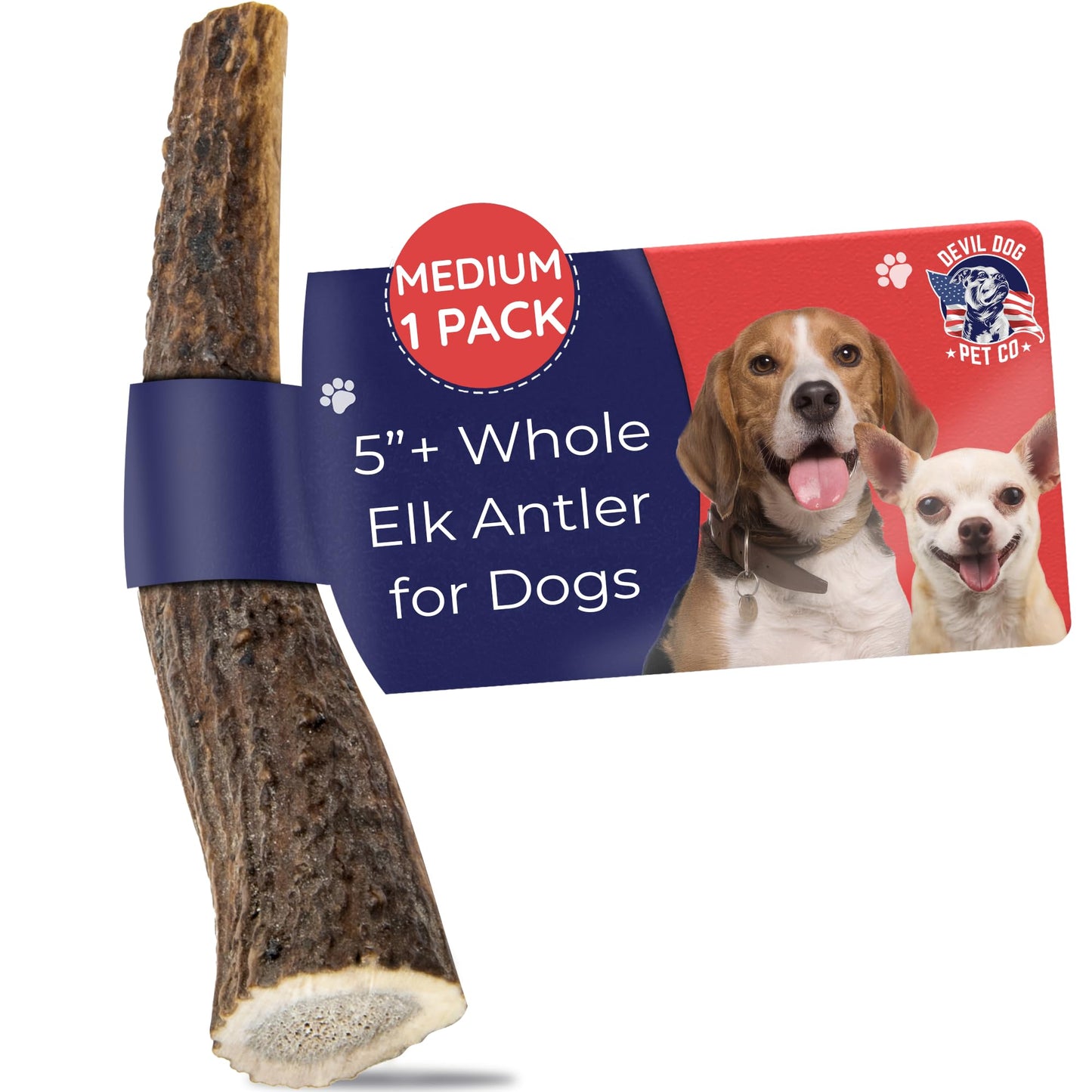 Devil Dog Pet Co. Elk Antlers for Dogs, Medium 5"+, 1 Pack, Grade A Long Lasting Chew for Aggressive Chewers, Premium USA Naturally Shed Antler – Healthy, No Odor, Durable Dog Chew