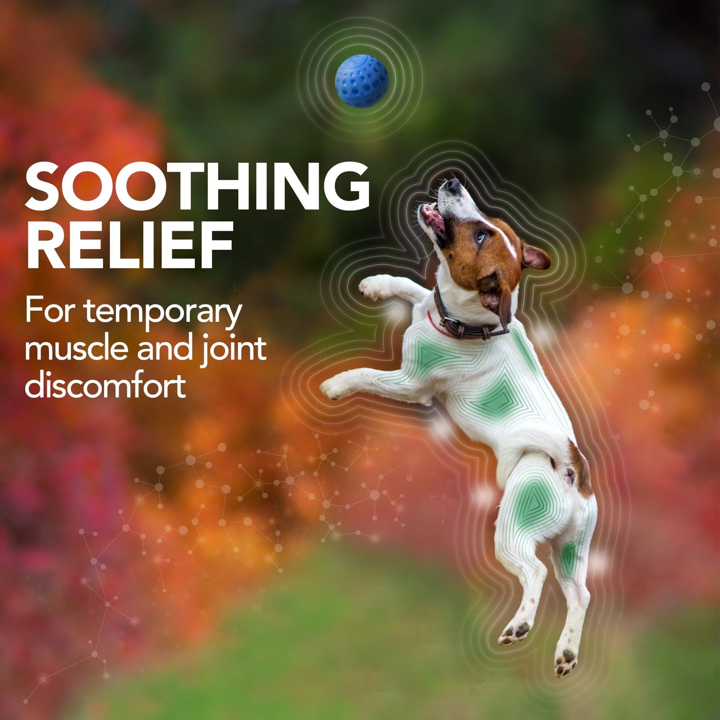 Bernie's Marvelous Mobility - Daily Total Joint Support for Dogs - 90 Soft Chews - Maintain & Rebuild Mobility, Supports Joint Tissue Health