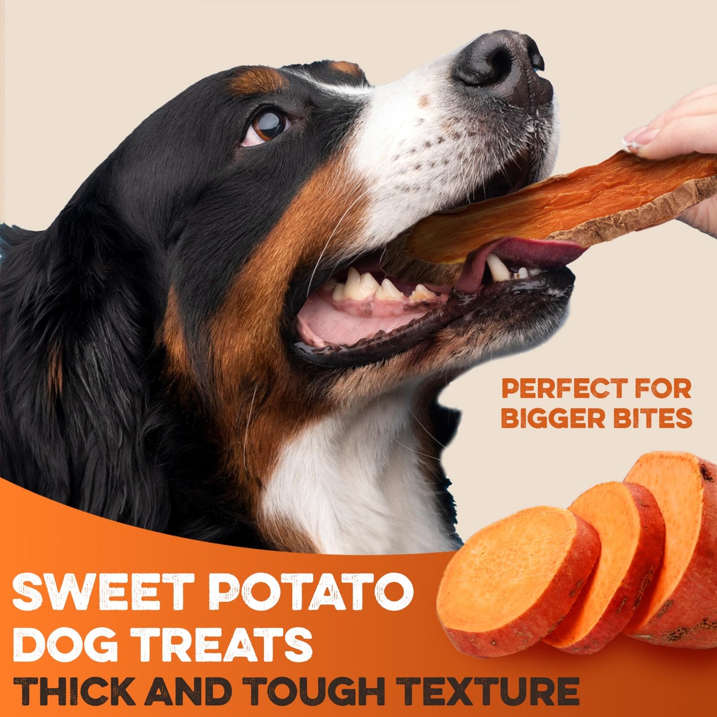 BRUTUS & BARNABY Sweet Potato Dog Treats – Support Sensitive Stomachs with USA-Grown, Hypoallergenic Treats That Smell as Good as They Taste
