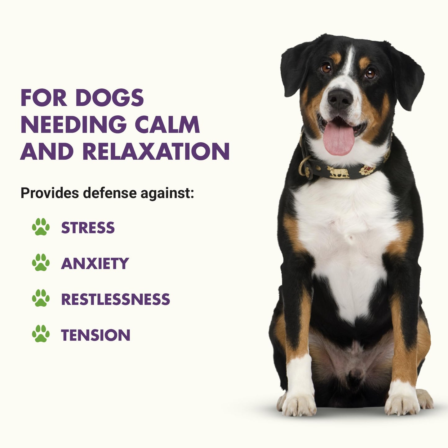 LIQUID-VET Premium Calming Dog Supplements - All Dog Essentials with Chamomile for Skin & Coat Support - Ideal for Large Breeds, Puppies, and Overall Wellness