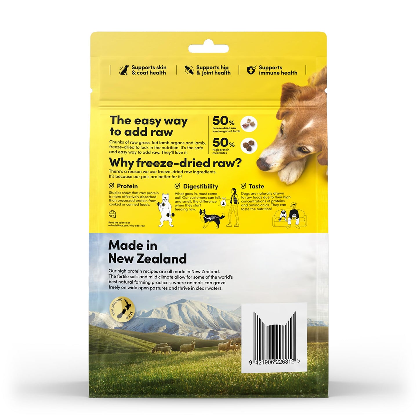 Blue Buffalo Delights Natural Adult Small Breed Wet Dog Food, Variety Pack, Made with Natural Ingredients, Filet Mignon & New York Strip Recipe in Hearty Gravy, 3.5-oz. Cups (12 Count, 6 of Each)