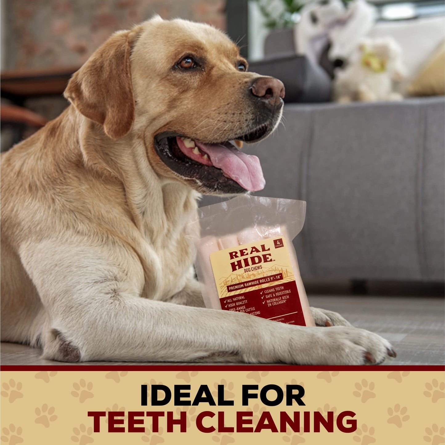 Real Hide | All Natural Dog Chew Treats - Premium Rawhide Rolls, 9-10 Inch - Long Lasting Grass Fed Free Range Beef Hide - Medium/Large Dogs - 20 Count