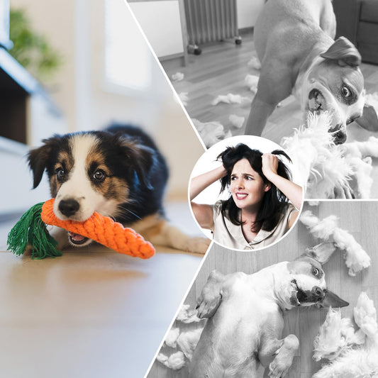 Squeaky Dog Toys for Puppy Small Stuffed Toys with Rubber Toys in Bulk Plush Dog Toy Safe Fetch Chew Toys Pack for Chewing and Teething (8 PCS Cotton Knot)