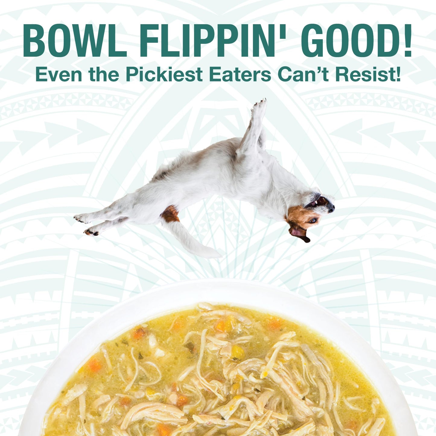 KOHA Pure Shreds Dog Variety Pack, High Protein Wet Dog Food- 5 Flavors - Beef, Duck, Chicken & Duck and Chicken & Beef Food for Dogs - 12.5oz Cans, Pack of 6