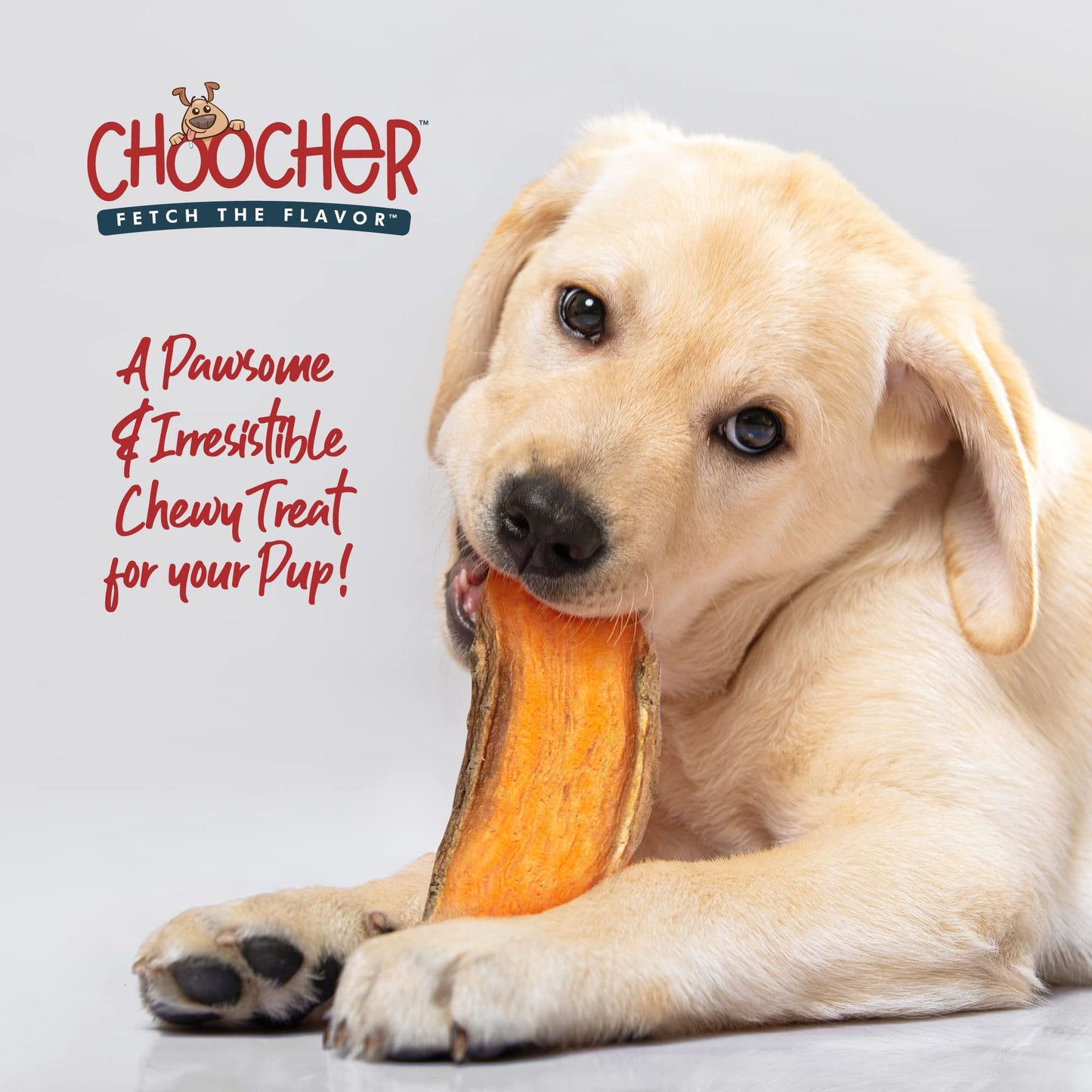 CHOOCHER Dehydrated Sweet Potato Dog Treats - High Fiber Gluten Free & Vegan Dental Chews for Small Medium Large Dogs - Made in USA Dog Chews for Training Teeth Cleaning & Healthy Digestion