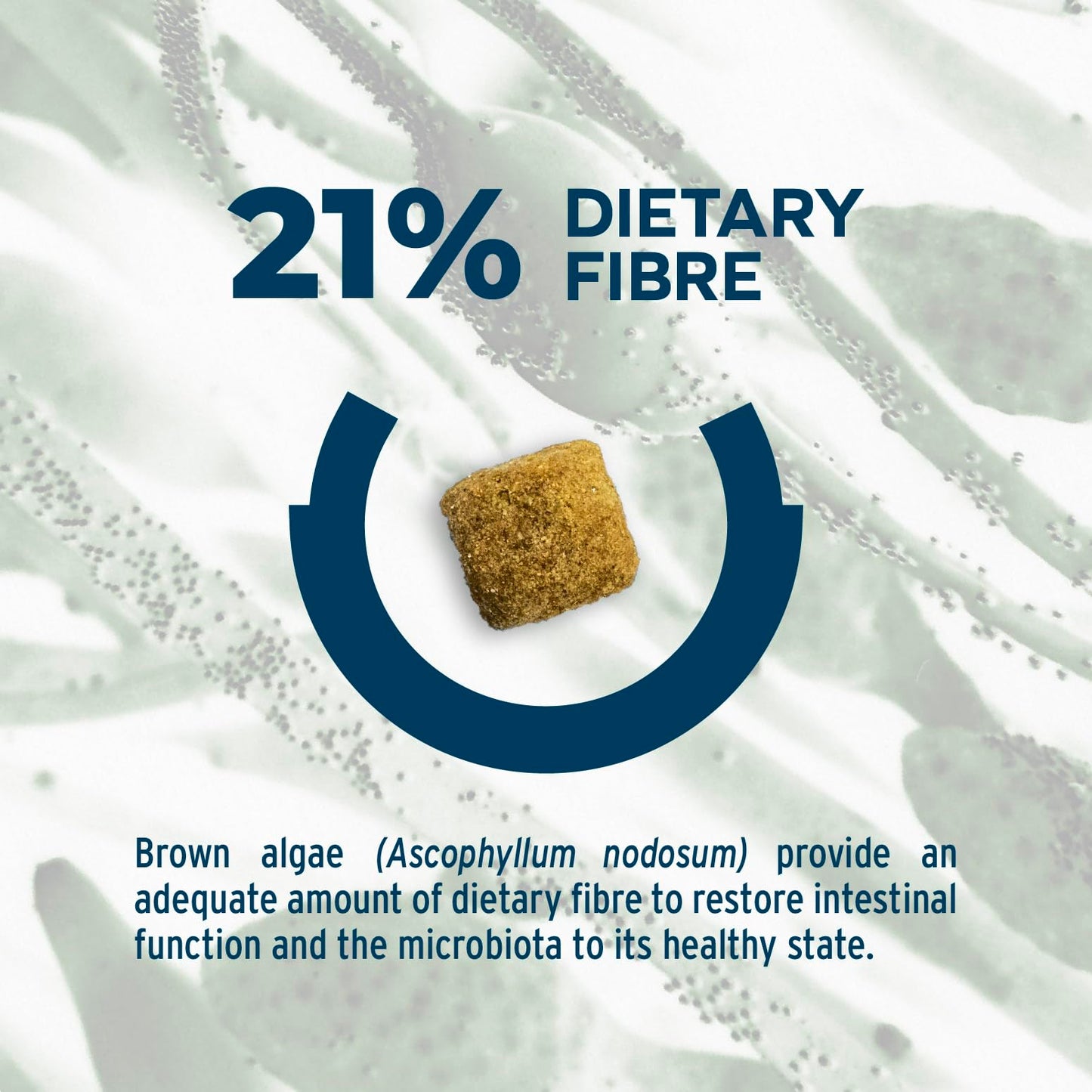 Forza10 Active Intestinal Colon Phase 1 Dry Dog Food 22 Pounds, Hydrolyzed Protein Dog Food, High Fiber 21% with Brown Algae, Intestinal & Colon Support for Adult Dogs, Limited Ingredient Formula