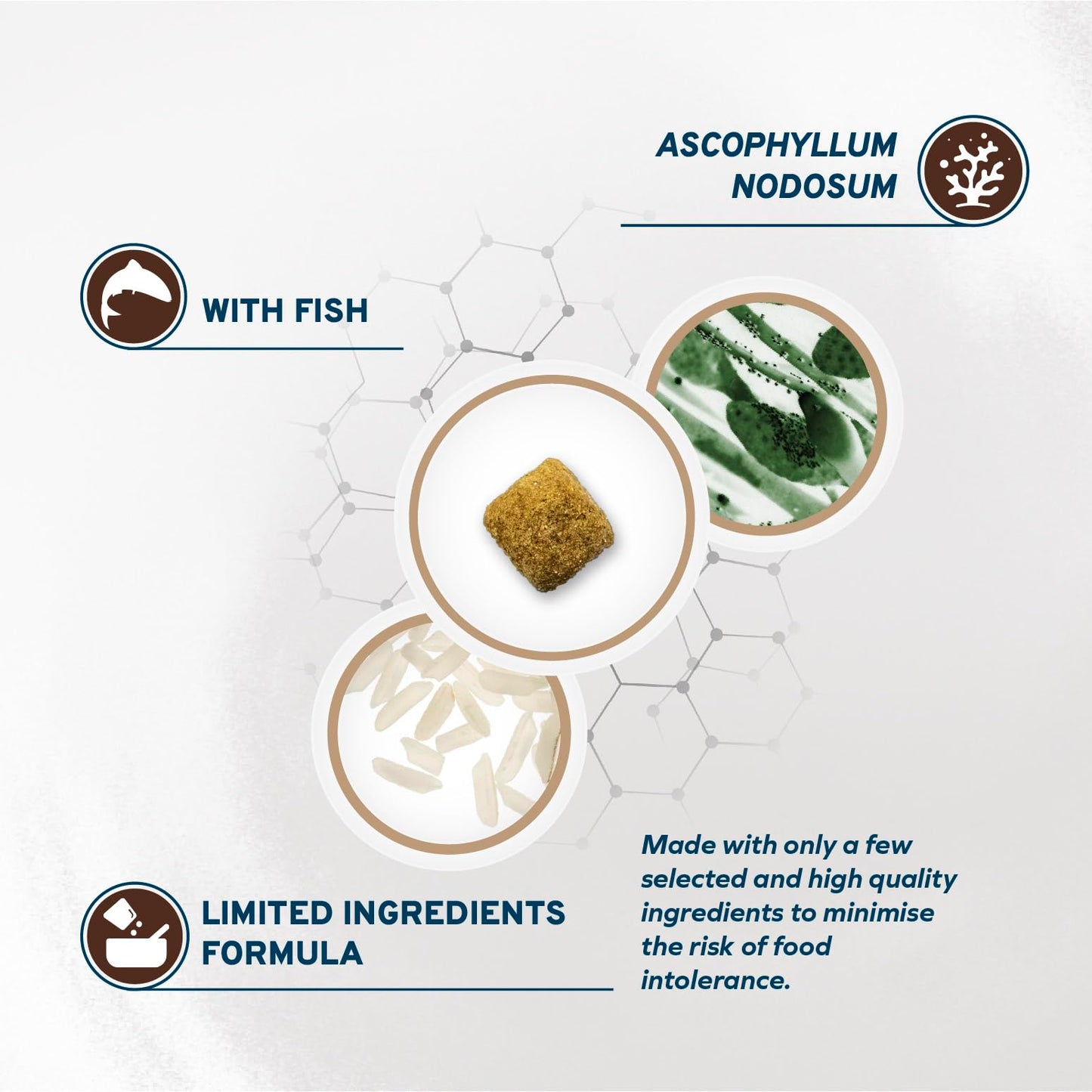 Forza10 Active Intestinal Colon Phase 1 Dry Dog Food 22 Pounds, Hydrolyzed Protein Dog Food, High Fiber 21% with Brown Algae, Intestinal & Colon Support for Adult Dogs, Limited Ingredient Formula