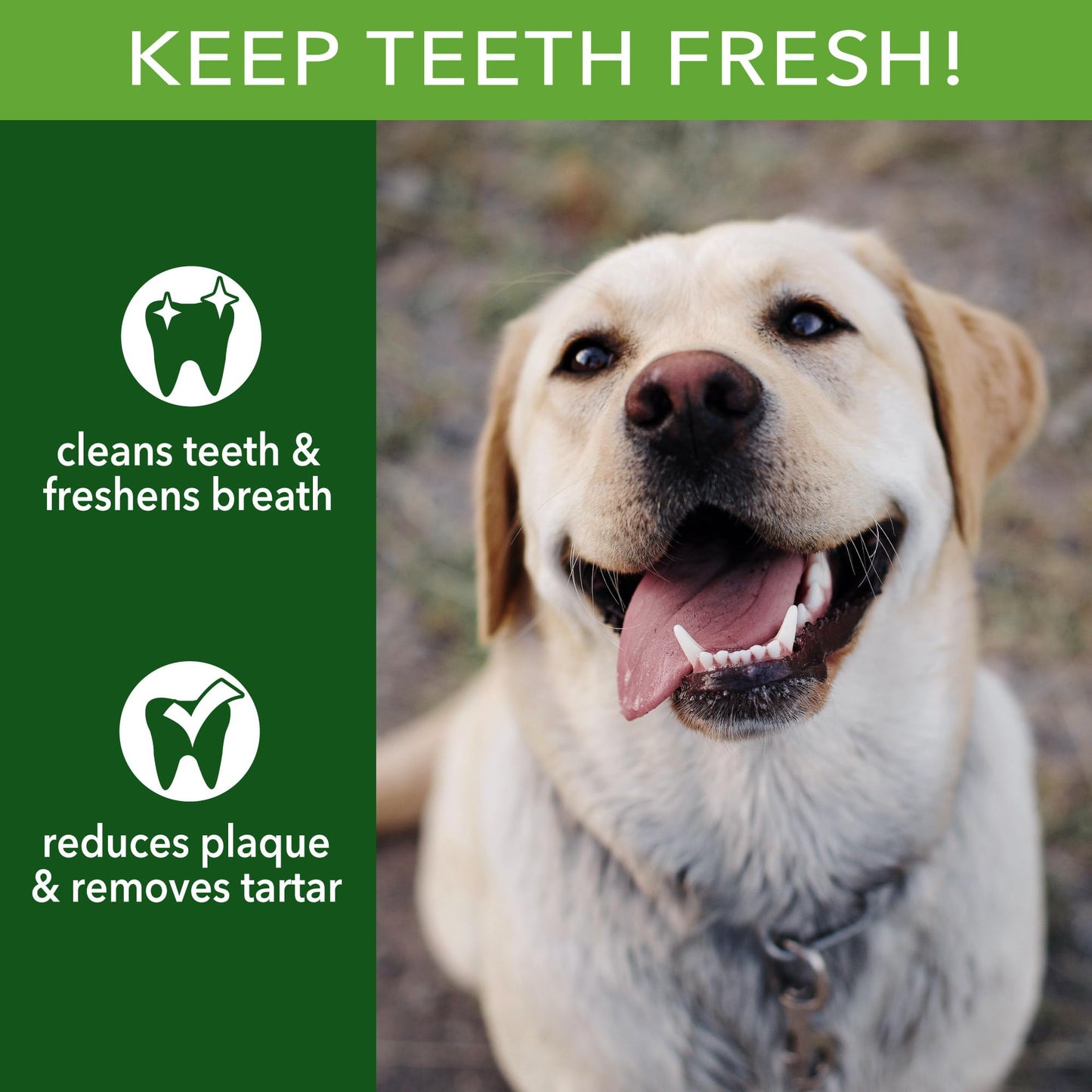 Pet Factory Real Chewz 12" Steer Sticks Dog Chew Treats, 100% All-Natural - 2 Count/1 Pack