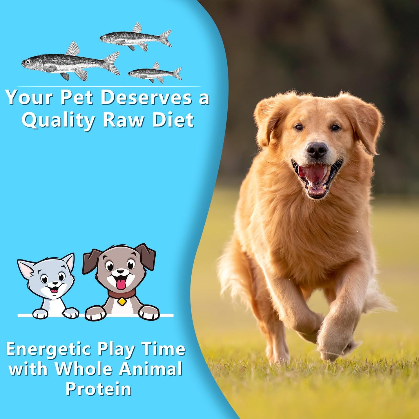 K9 Connoisseur Single Ingredient Dog Bones Made In USA For Large Breed Aggressive Chewers All Natural Long Lasting Meaty Mammoth Marrow Filled Bone Chew Treat Best For Dogs Over 50 LBS -Goliath 1 Pack