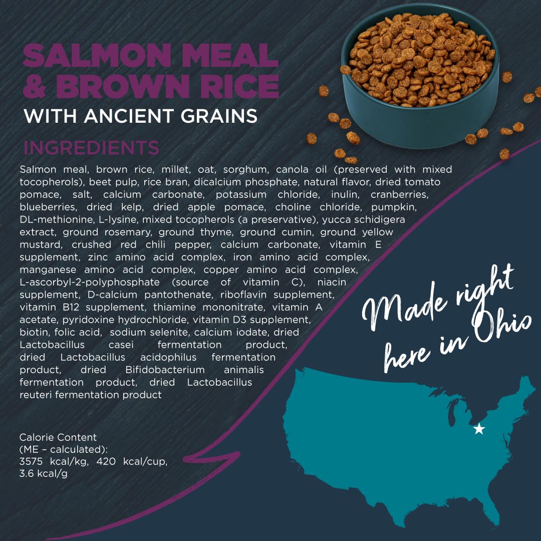Blackwood Sensitive Skin & Stomach Dry Dog Food, Salmon Meal & Brown Rice with Ancient Grains, 10 Pound Bag with Prebiotics & Probiotics to Promote Gut Health