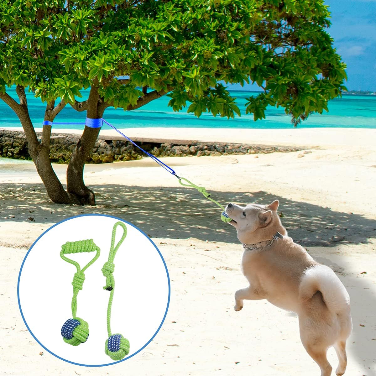 Outdoor Hanging Bungee Dog Toy - Interactive Dog Tug Toy with 2 Chew Rope Toys for Small to Large Dogs - Best for Tug of War, Bite Training, Pull Exercise, Solo Play