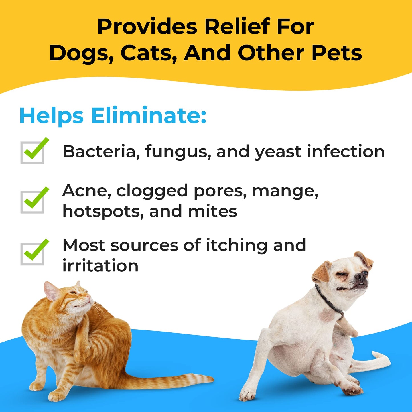 Smiling Paws Pets - Itch Relief Shampoo & Brush for Pets - Contains Benzoyl Peroxide - Kills Fleas - Relieves Allergies, Itching, Dermatitis, Mange, Dandruff, Acne, Demodex, Seborrhea, Pyoderma - 12oz