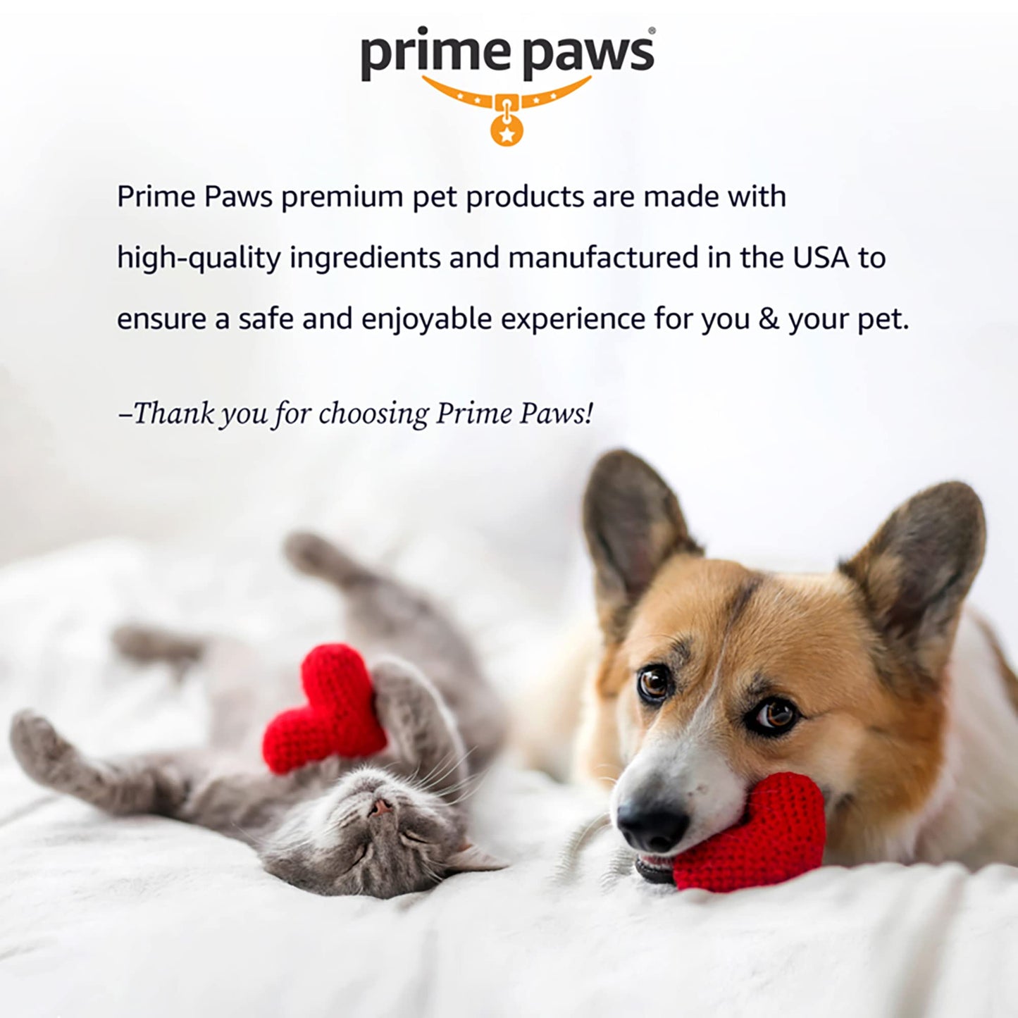 Prime Paws Avocado Herbal Shampoo for Dogs - Nourishing Dog Shampoo for Itchy Skin Helps Reduce Shedding - Address Dandruff & Exfoliate Dry Skin - Moisturizing Formula Soothes Irritated Skin - 16 Oz.