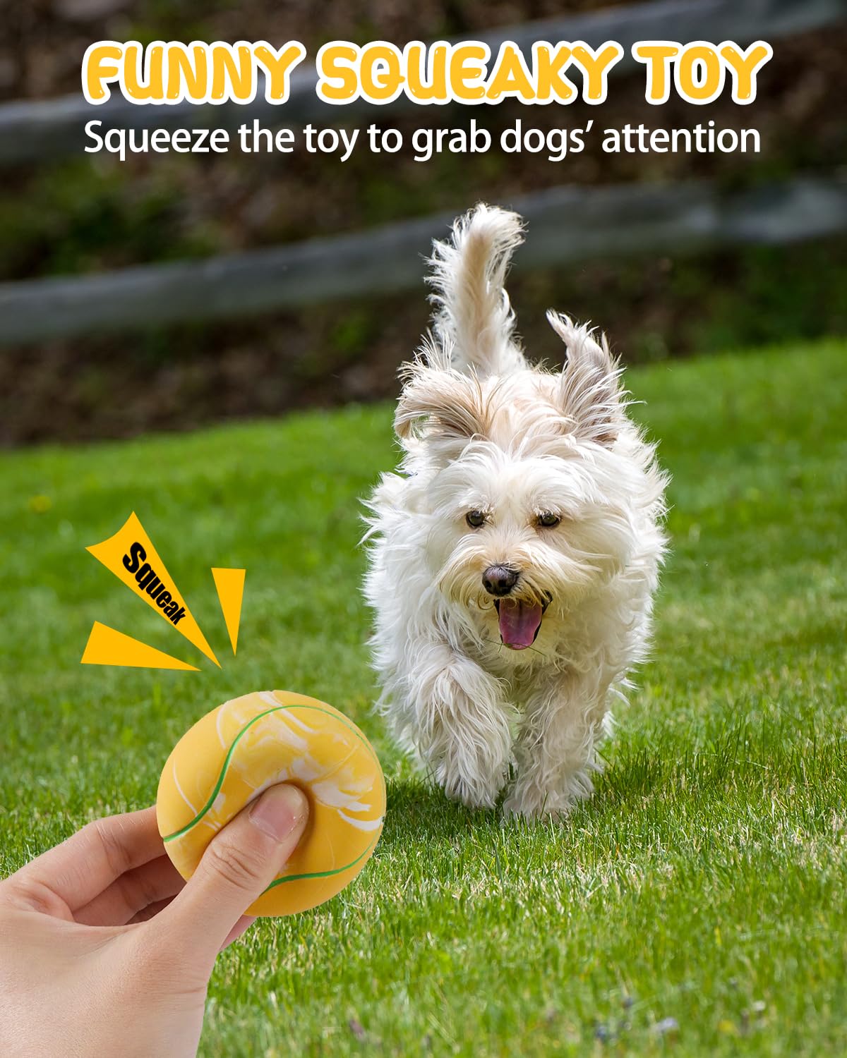 SCHITEC Dog Squeaky Toy Balls, Interactive Tennis Ball for Puppies Small Pet Medium Breed Dogs, Latex Rubber Puppy Fetch Play Toys