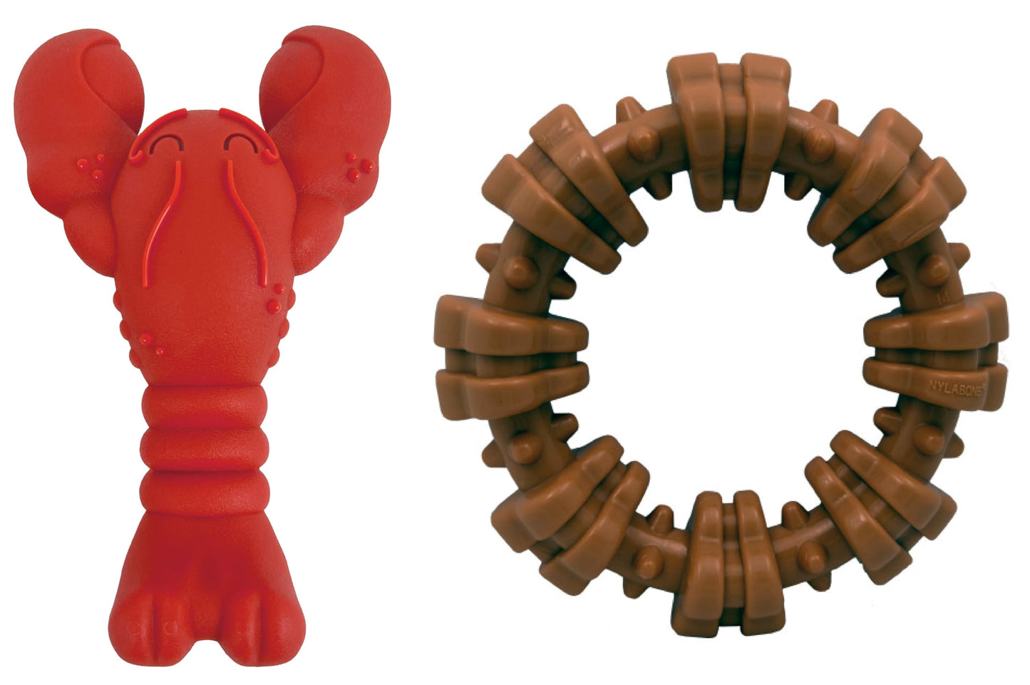 Quizvi Dog Chew Toy for Aggressive Chewers – Tough Nylon Bone with Bacon Flavor for Pitbulls & Large Dogs, Indoor Play for Teeth Cleaning & Anxiety Relief