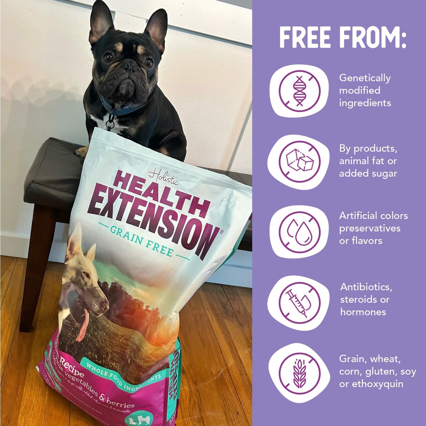 Health Extension Grain Free Salmon & Sweet Potato Dry Dog Food (4 lb / 1.81 kg) - Whole Foods Ingredients Formula with Omega 3 & Antioxidants for All Life Stages Dogs (Pack of 2)
