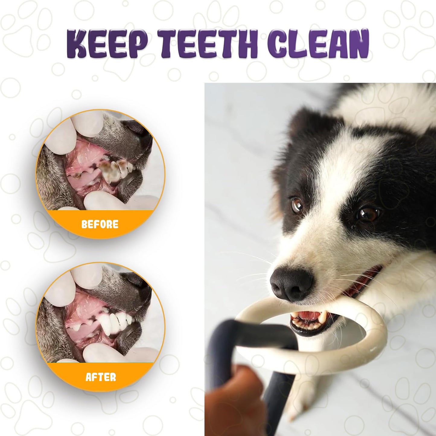 LEE BONBON Tug of War Dog Toy – Interactive Toy for Aggressive Chewers, Puppy Teething, Dog Toys to Keep Them Busy