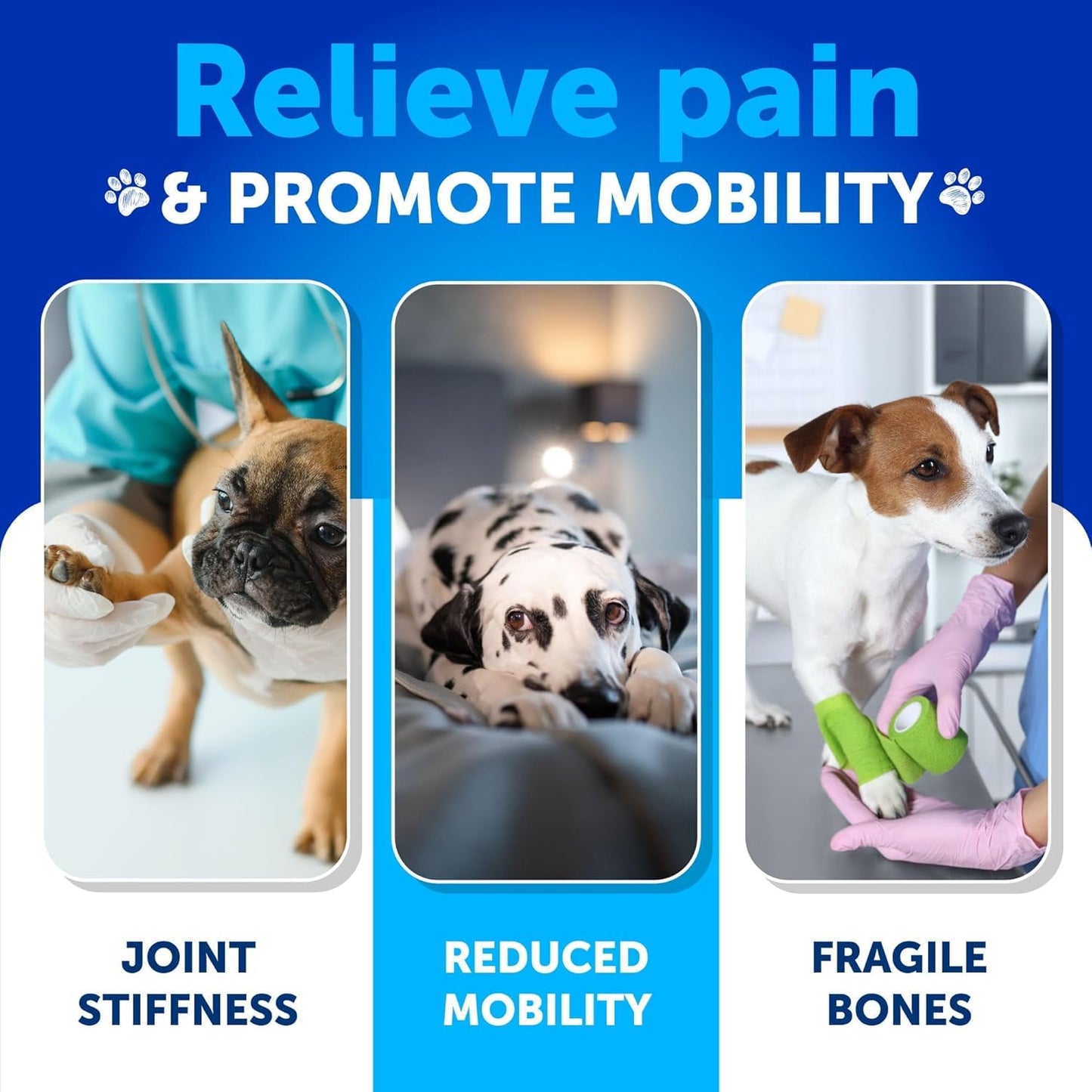Hemp Calming Chews + Hip and Joint Supplement for Dogs Bundle - Dog Calming Chews - Dog Anxiety Relief Treats - Dog Joint Pain Relief Treats - Hip and Joint Support - Glucosamine for Dogs - MSM