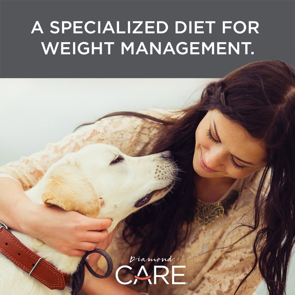 Diamond CARE Specialized Grain-Free Formulation Adult Dry Dog Food to Support Healthy Weight Management Made with prime Lamb Protein, Probiotics and High Fiber to Aid in Weight Control 25lb