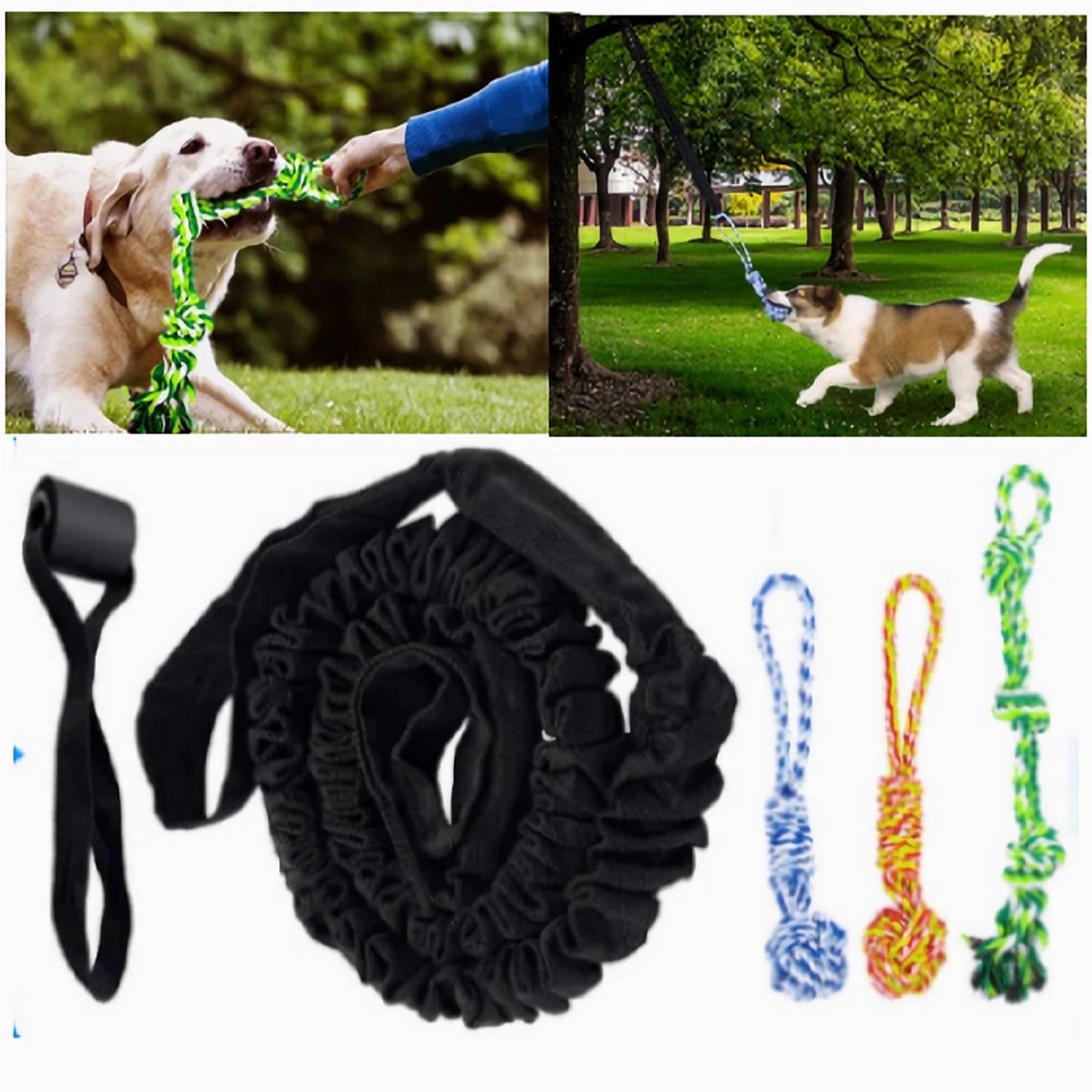 YLTFUTR Spring Pole Dog Rope Toys, Tree Bungee Hanging Dogs Toy Interactive Tether Tug Indoor Outdoor Exercise Chewer Ropes Dog Toys, Pull Tug Solo Play Rope for Medium Large Dog