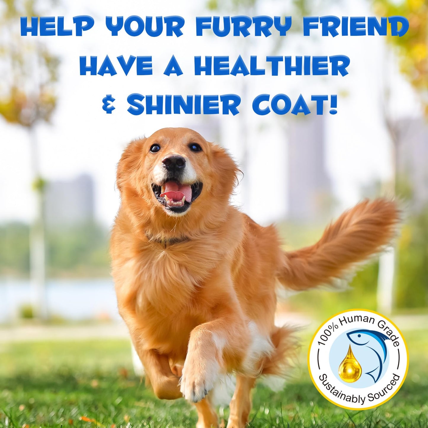 BARK&SPARK Advanced Calming Hemp Treats for Dogs - Hemp Oil + Melatonin - Anxiety Relief - Separation Aid - Stress Relief During Fireworks, Storms, Thunder - Aggressive Behavior, Barking - 120Ct BBQ