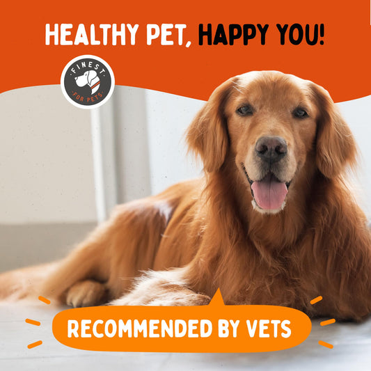 Premium Liquid Glucosamine Hip and Joint Supplement for Dogs - Fast Natural Arthritis Pain Relief and Better Mobility - Extra Strength with Chondroitin MSM and Hyaluronic Acid. Made in USA 16oz.