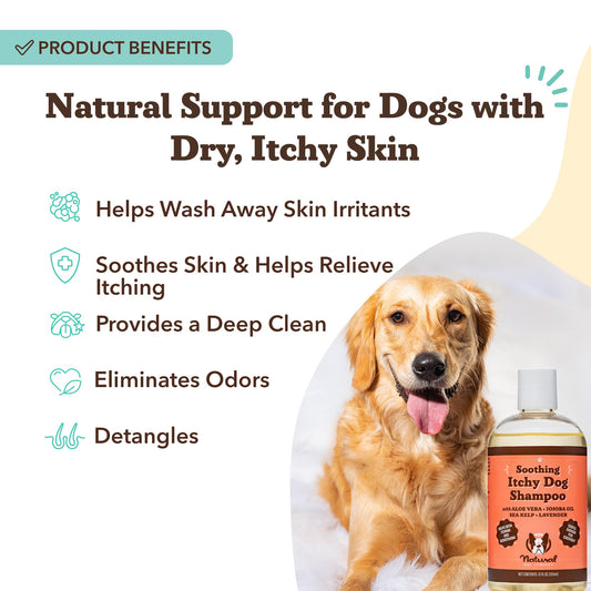 Natural Dog Company Itchy Dog Shampoo 12 oz – Hypoallergenic & Fragrance Free – Aloe Vera, Jojoba & Sea Kelp – Sulfate & Paraben Free – Soothes Dry, Itchy, Irritated Skin – Safe for All Breeds