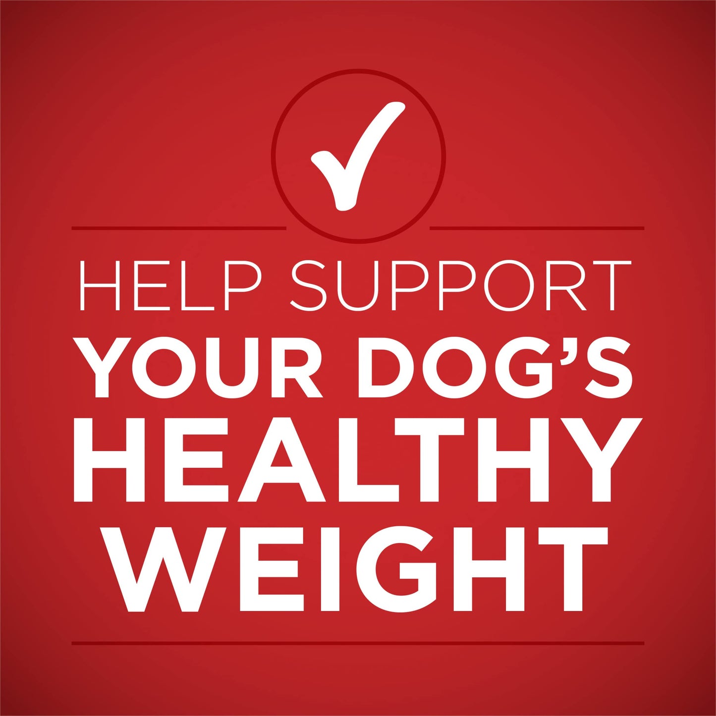 Purina ONE Plus Tender Cuts in Gravy Healthy Weight Lamb and Brown Rice Entree in Wet Dog Food Gravy - (Pack of 12) 13 oz. Cans