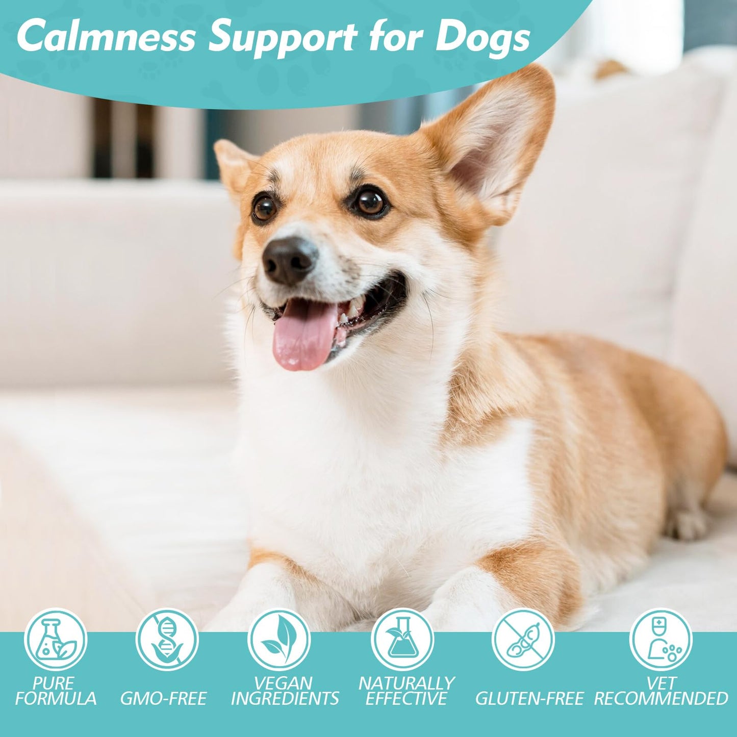 Ashwagandha Drops for Dogs, Calming Drops for Dogs with Ashwagandha Tincture, Supports Composure, Calmness, Relaxation & Emotional Balance, Dog Anxiety Relief from Fireworks, Storms, Separation & More