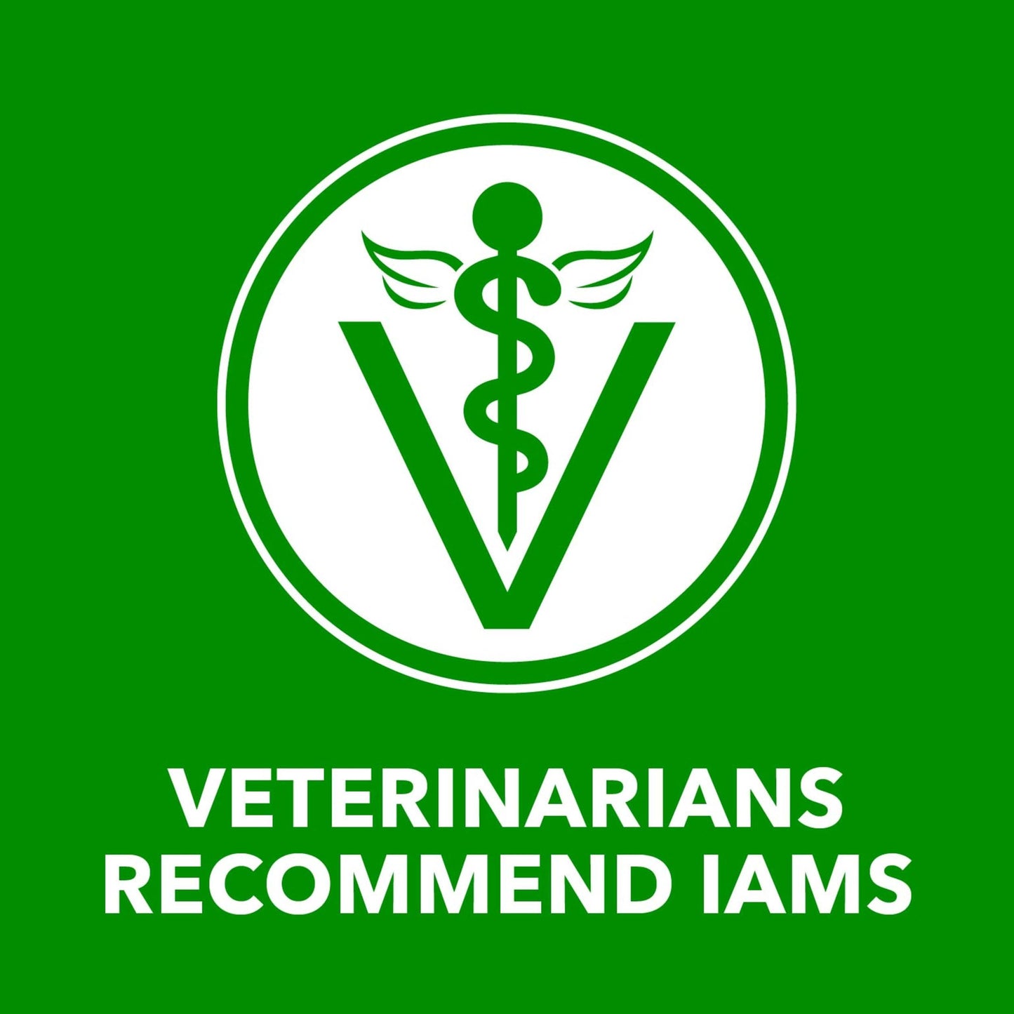 IAMS Proactive Health Adult Wet Dog Food Chunks in Gravy, Beef Recipe, 13 oz. Cans (12 Count, Pack of 1)